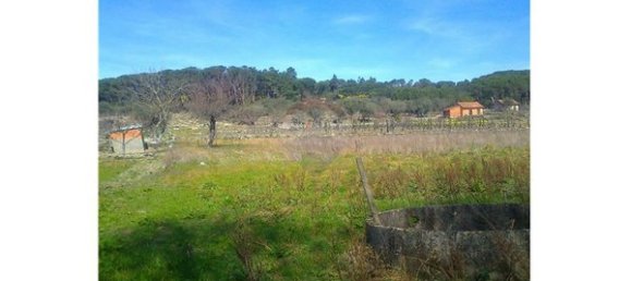7320m² Land in Nelas, Portugal No. 54137 4
