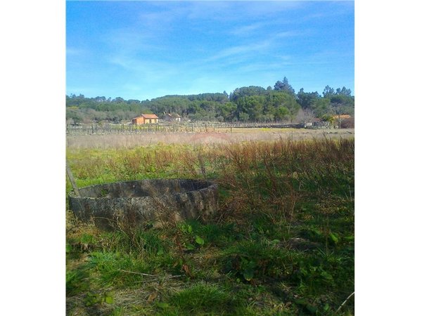 7320m² Land in Nelas, Portugal No. 54137
