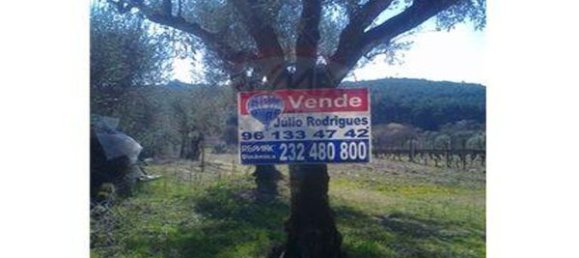 7320m² Land in Nelas, Portugal No. 54137 2