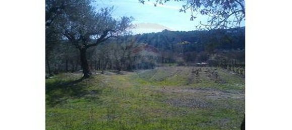 7320m² Land in Nelas, Portugal No. 54137 3