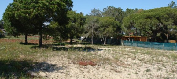10375m² Land in Grandola, Portugal No. 63559 14