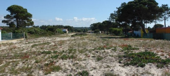 10375m² Land in Grandola, Portugal No. 63559 4
