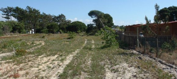10375m² Land in Grandola, Portugal No. 63559 6