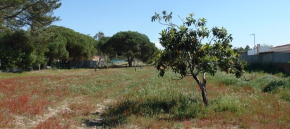 10375m² Land in Grandola, Portugal No. 63559 11