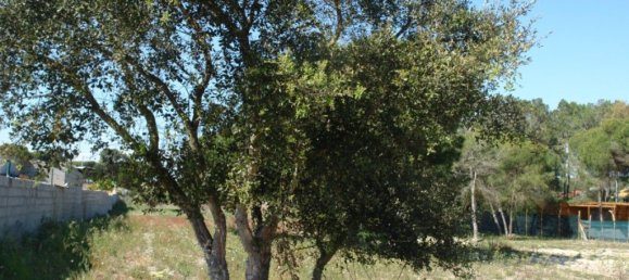 10375m² Land in Grandola, Portugal No. 63559 13