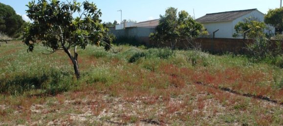 10375m² Land in Grandola, Portugal No. 63559 10