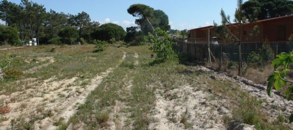 10375m² Land in Grandola, Portugal No. 63559 9