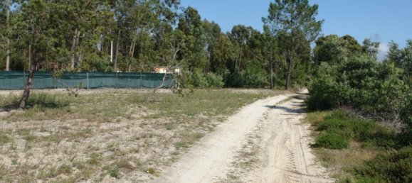 10375m² Land in Grandola, Portugal No. 63559 12