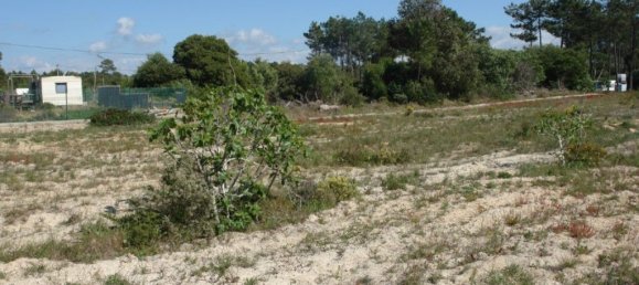 10375m² Land in Grandola, Portugal No. 63559 7