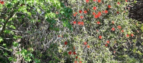 Apartamento de 4 habitaciónes en Saint-Raphael, France No. 329035 12