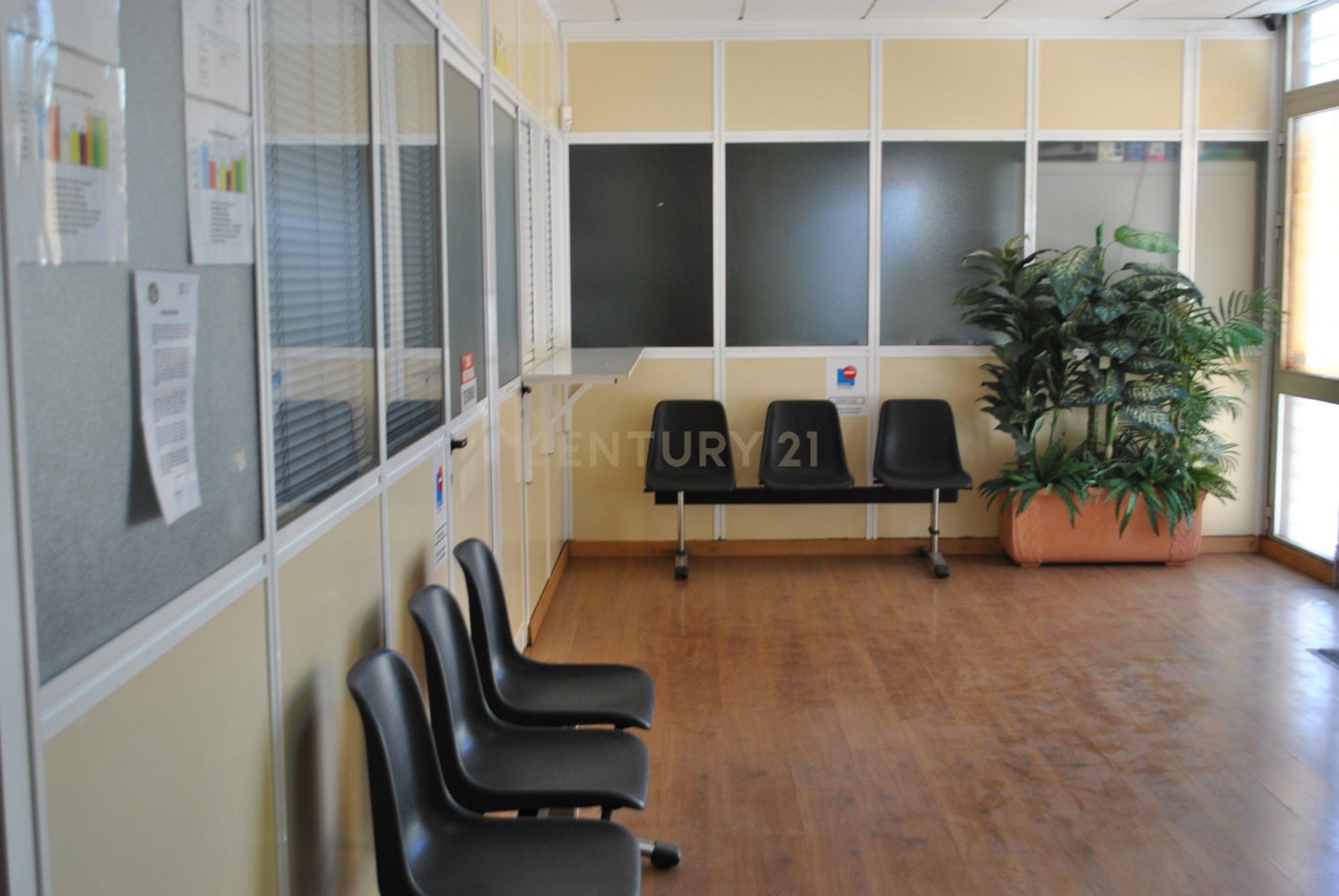 Gewerbliche Immobilie in San Cristobal de La Laguna, Spain 285m², Nr. 66078