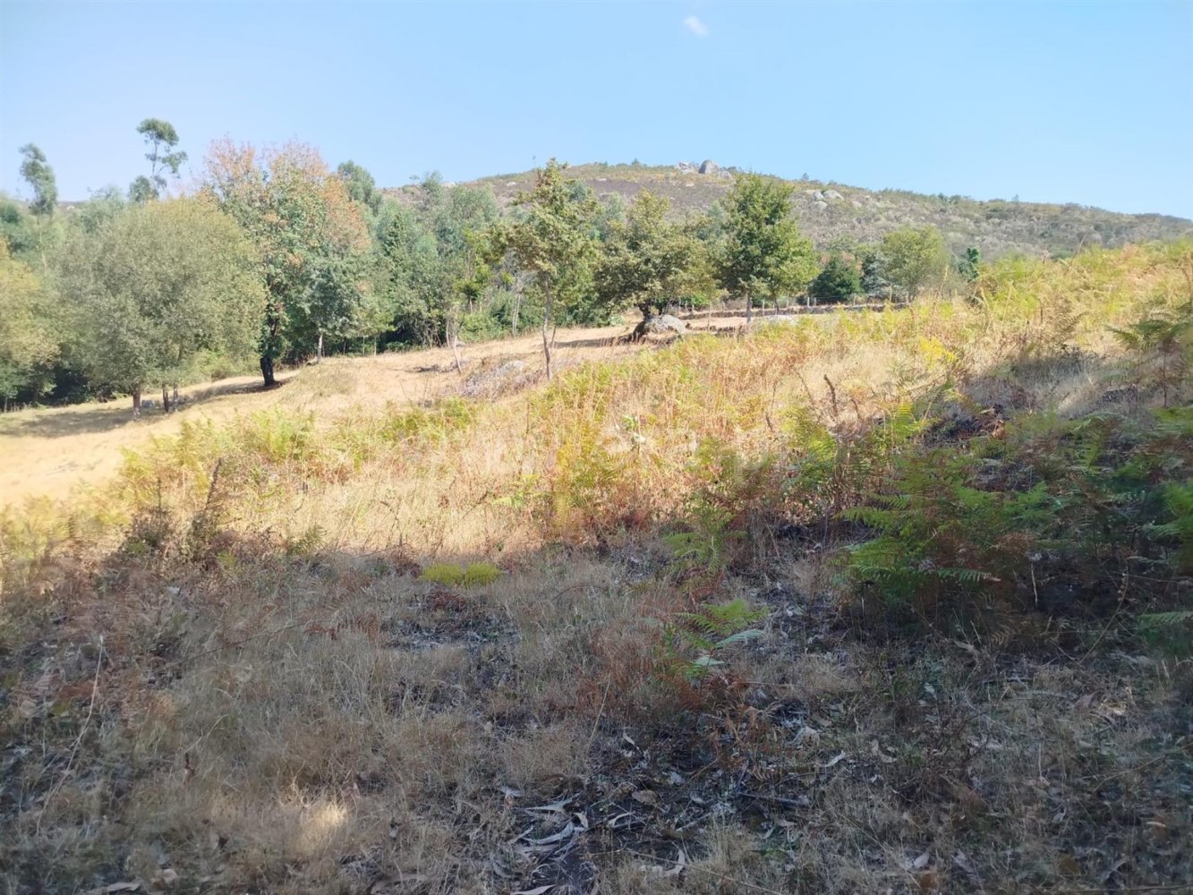  قطعة أرض في Ponte de Lima, Portugal رقم 305271