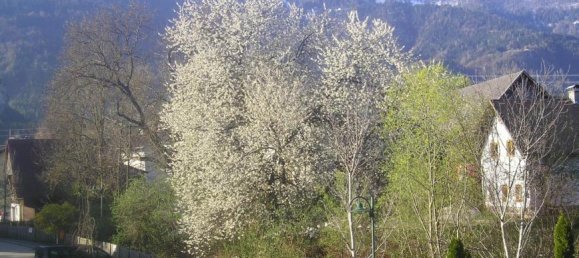 4 rooms House in Finkenstein am Faaker See, Austria No. 229794 4