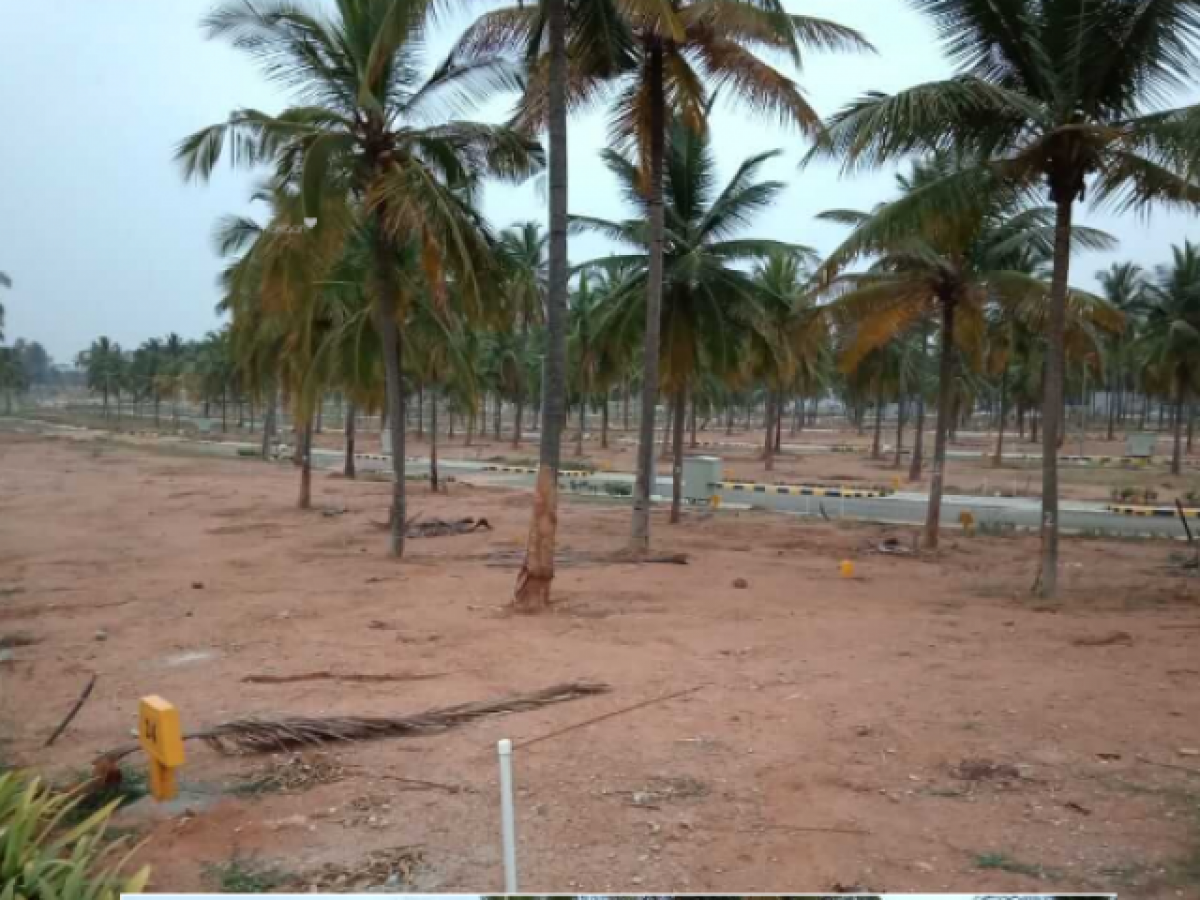 Terrain à Bangalore, India No. 30230