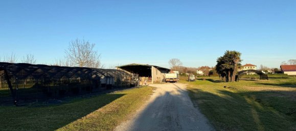 8 rooms House in San Michele al Tagliamento, Italy No. 220507 17