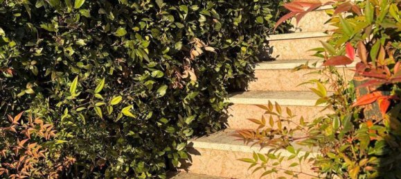 8 rooms House in San Michele al Tagliamento, Italy No. 220507 3