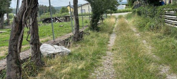 Land in Matzendorf-Holles, Austria No. 230124 2