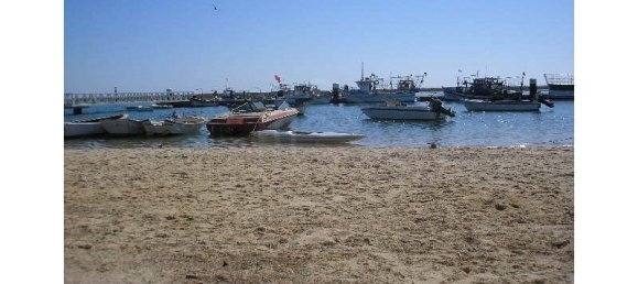  Land in Tavira, Portugal No. 71477 14