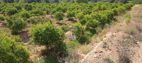 Terreno en Montesa, Spain 50000 m² No. 95363 3