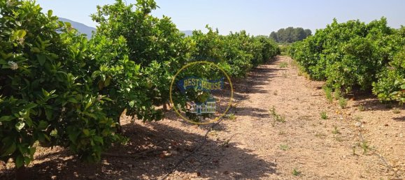 Terreno en Montesa, Spain 50000 m² No. 95363 4