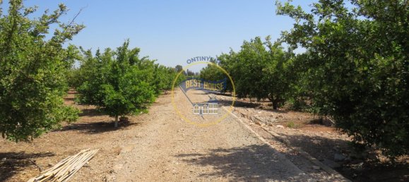 Terreno en Montesa, Spain 50000 m² No. 95363 5