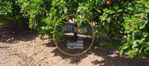 Terreno en Montesa, Spain 50000 m² No. 95363 13