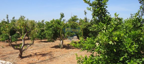 Terreno en Montesa, Spain 50000 m² No. 95363 8