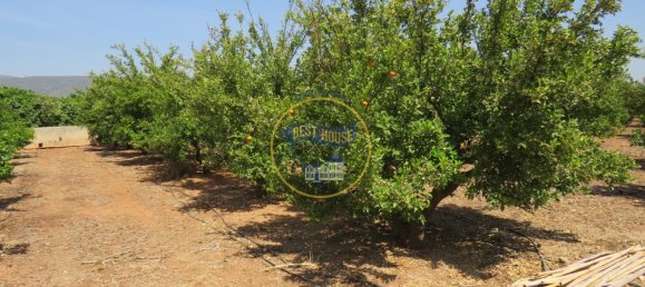 Terreno en Montesa, Spain 50000 m² No. 95363 7