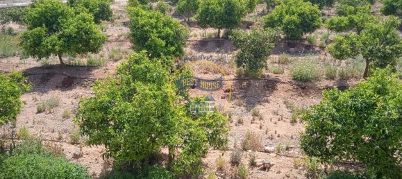 Terreno en Montesa, Spain 50000 m² No. 95363 2