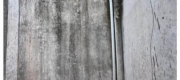 4 غرف نوم بانتهاوس في Genzano di Roma, Italy رقم 98567 8