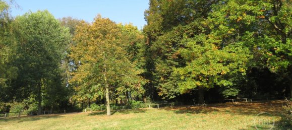 Квартира с 4 спальнями в Райниккендорф, Германия № 46514 17