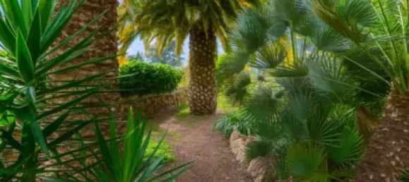 3 bedrooms House in Icod de los Vinos, Spain No. 169501 47