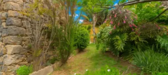 3 bedrooms House in Icod de los Vinos, Spain No. 169501 33