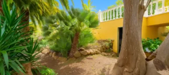 3 bedrooms House in Icod de los Vinos, Spain No. 169501 46