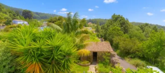 3 bedrooms House in Icod de los Vinos, Spain No. 169501 32