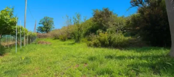 3 bedrooms House in Icod de los Vinos, Spain No. 169501 52