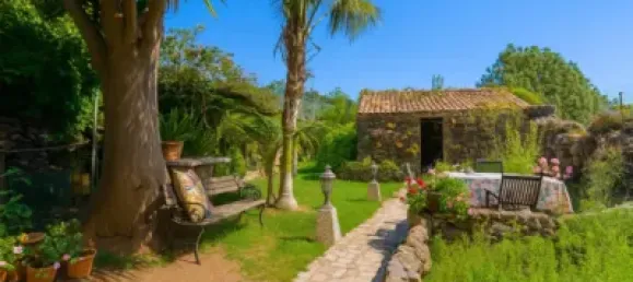 3 bedrooms House in Icod de los Vinos, Spain No. 169501 7