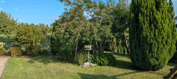 Land in Rostock, Germany No. 237966 13