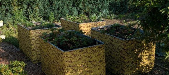 Land in Rostock, Germany No. 237966 10