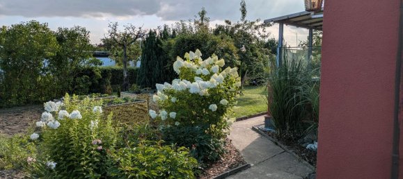 Land in Rostock, Germany No. 237966 3