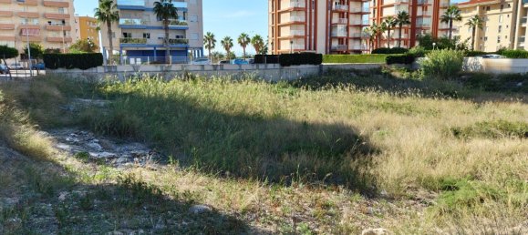 Terrain à Guardamar del Segura, Spain 2546m² No. 57175 7