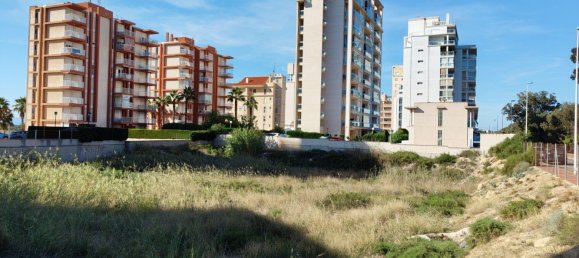 Terrain à Guardamar del Segura, Spain 2546m² No. 57175 3