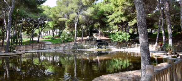 Terrain à Guardamar del Segura, Spain 2546m² No. 57175 10