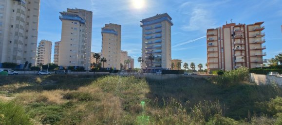 Terrain à Guardamar del Segura, Spain 2546m² No. 57175 4