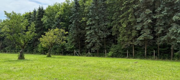 1 bedroom House in Bocksdorf, Austria No. 131514 30