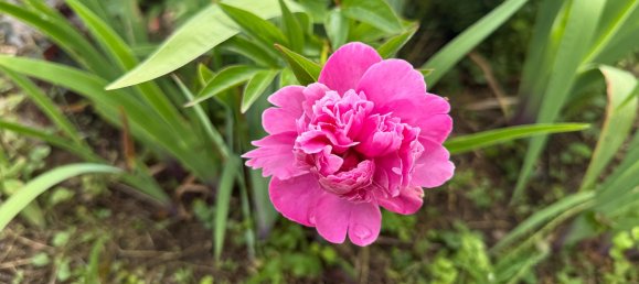 1 bedroom House in Bocksdorf, Austria No. 131514 25