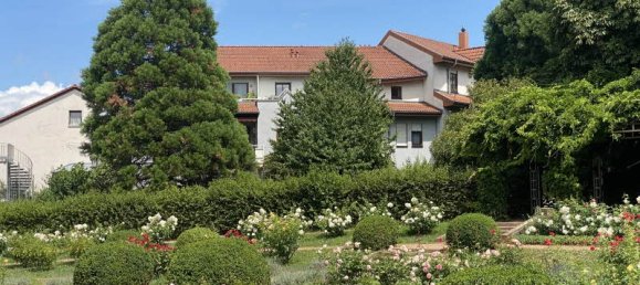 2-Zimmer Wohnung in Freiburg im Breisgau, Germany, Nr. 244604 7