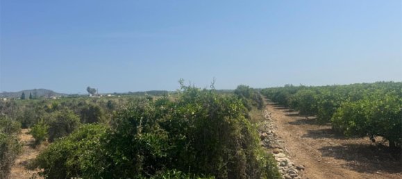 2 bedrooms Apartment in Pego, Spain No. 140744 14