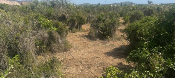 2 bedrooms Apartment in Pego, Spain No. 140744 21