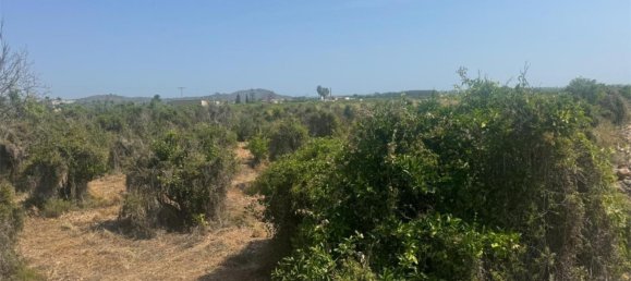 2 bedrooms Apartment in Pego, Spain No. 140744 22